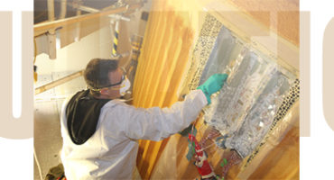 pistopoihsh-texnikos-monvsevn-monvths